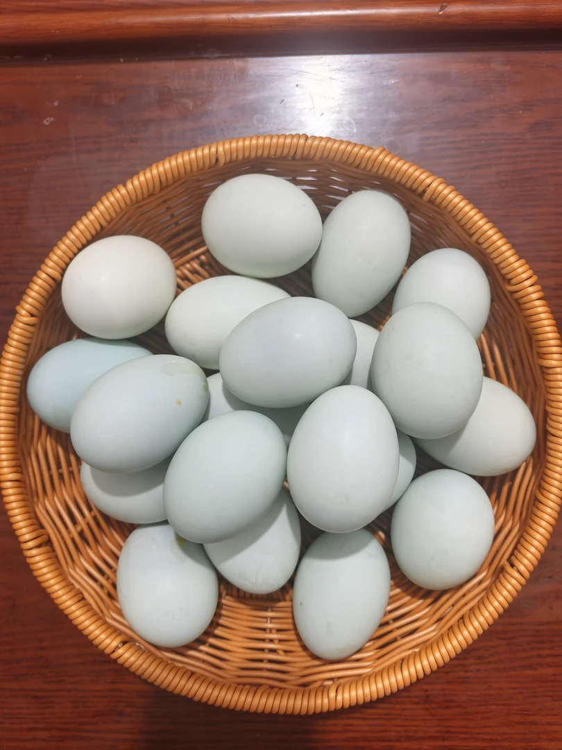 龙潭镇农村笨鸭蛋