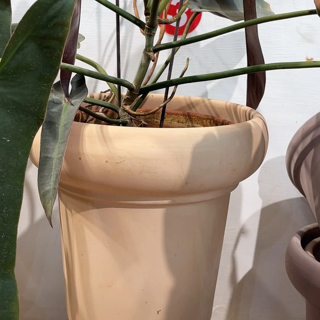 红陶21×20(1个花盆)