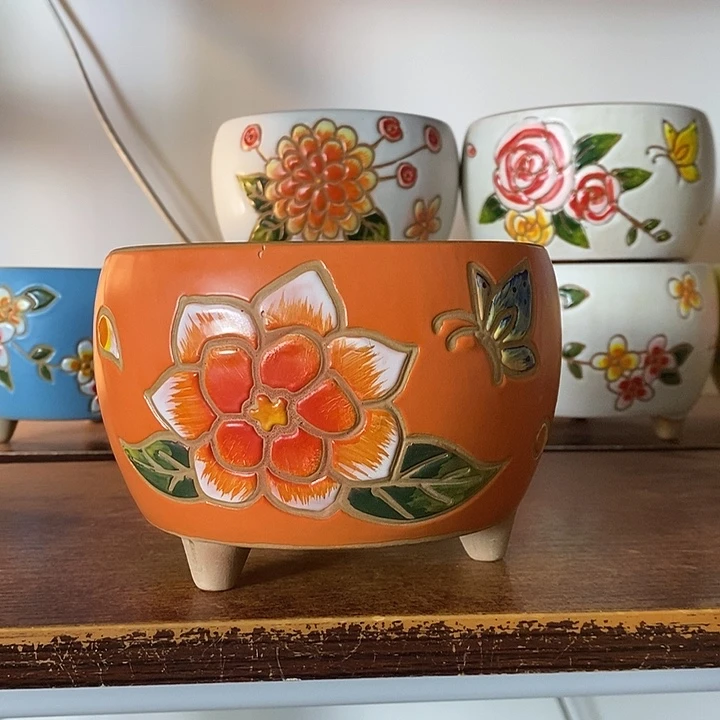 韩式多肉植物花盆