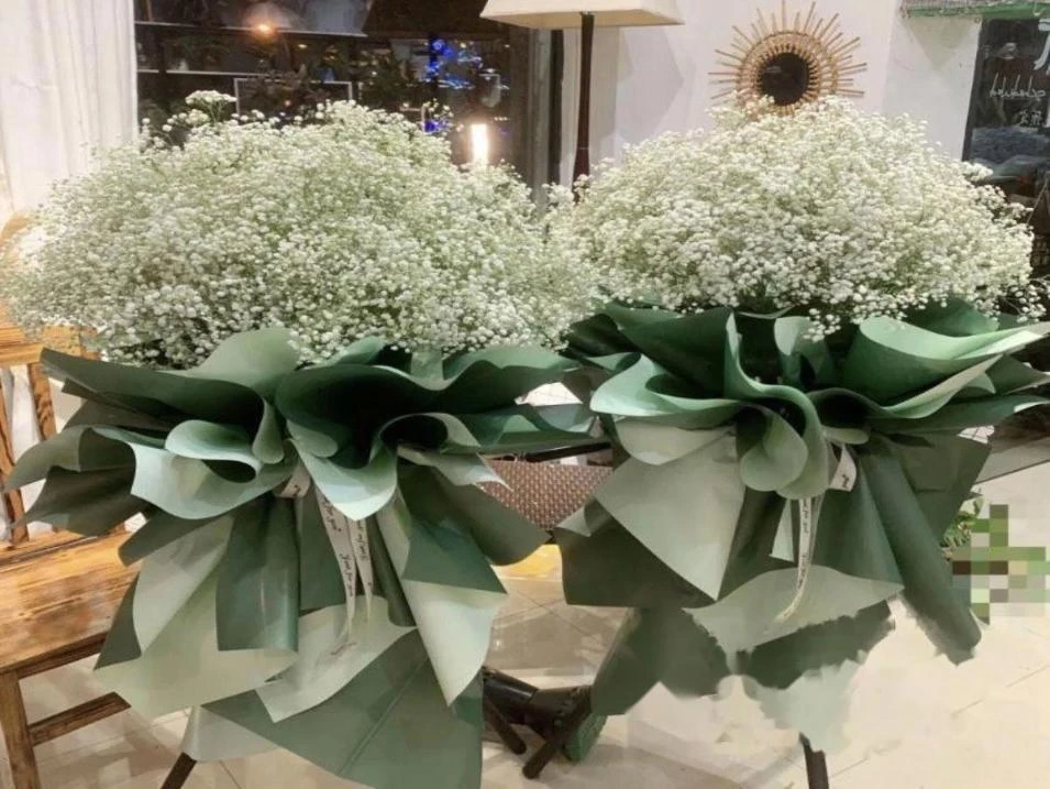 【蓝色满天星开业花篮】满天星开业花篮（单个）-清新系列