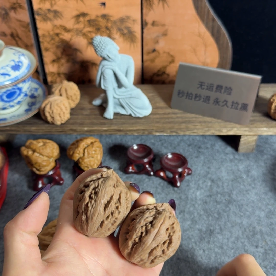全40霸王龙克重46