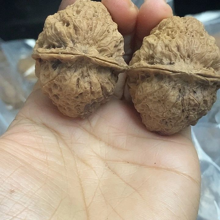 文玩核桃把件云南铁核桃基地65