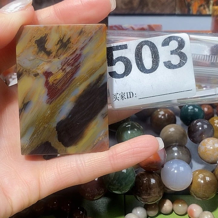 硅化玉未镶嵌天然北票树化玉吊坠