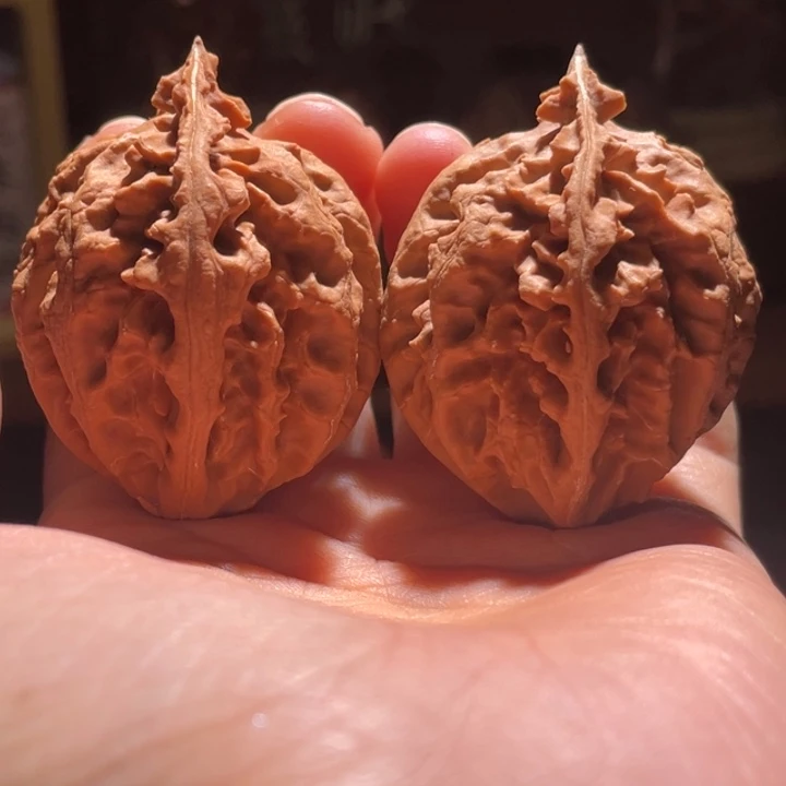 吊坠文玩核桃狼牙趸2