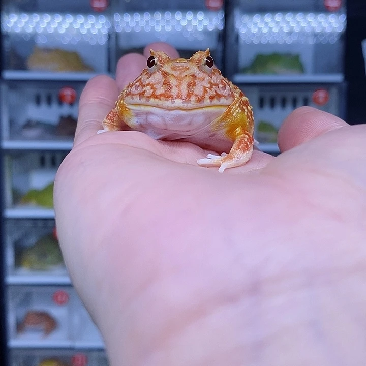 特价秒杀现货特价