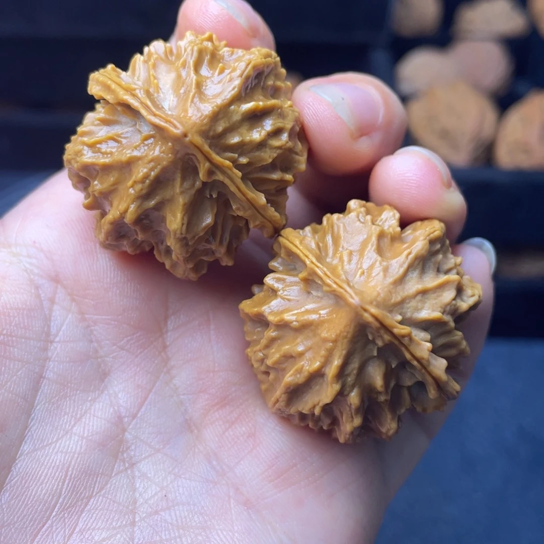 文玩核桃把件秦岭核桃1