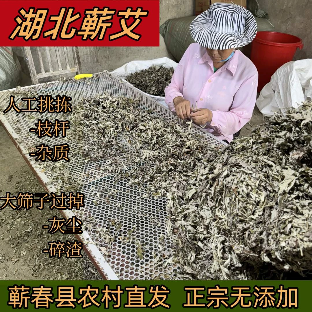 湖北蕲艾2025年端午正宗道地蕲艾草泡澡月子洗头泡脚蕲春产地直发