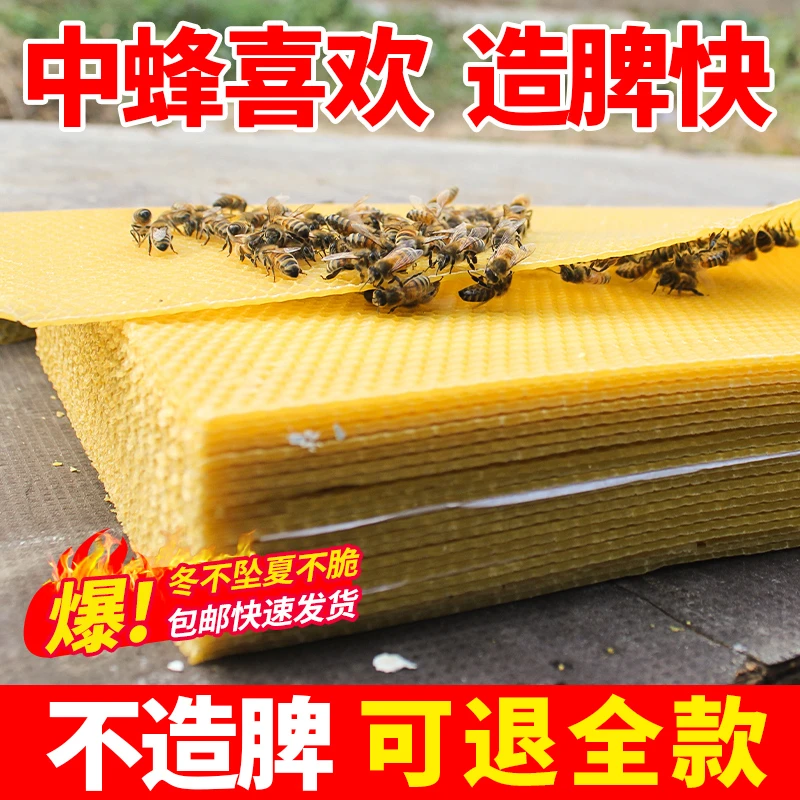中蜂深房巢础天然纯蜂蜡巢脾巢基蜜蜂筑巢蜂箱巢础片全套养蜂工具