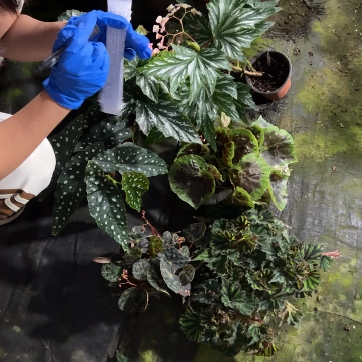 完全开放一物一拍套餐20