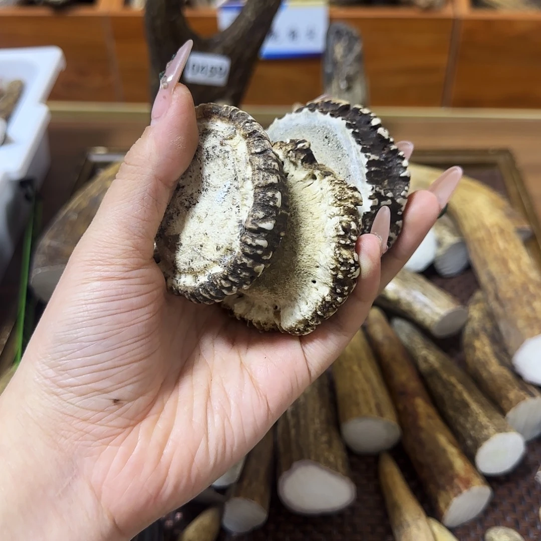 鹿骨手串/手链梅花鹿三个角帽