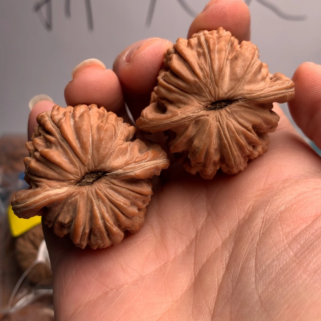 窝***窝篓子25号下午我给你们