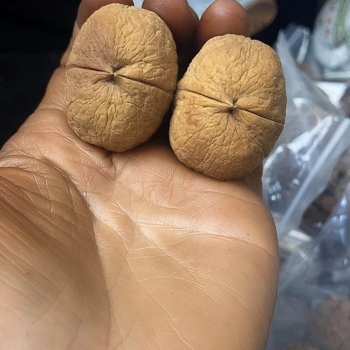 把件文玩核桃云南铁核桃基地89