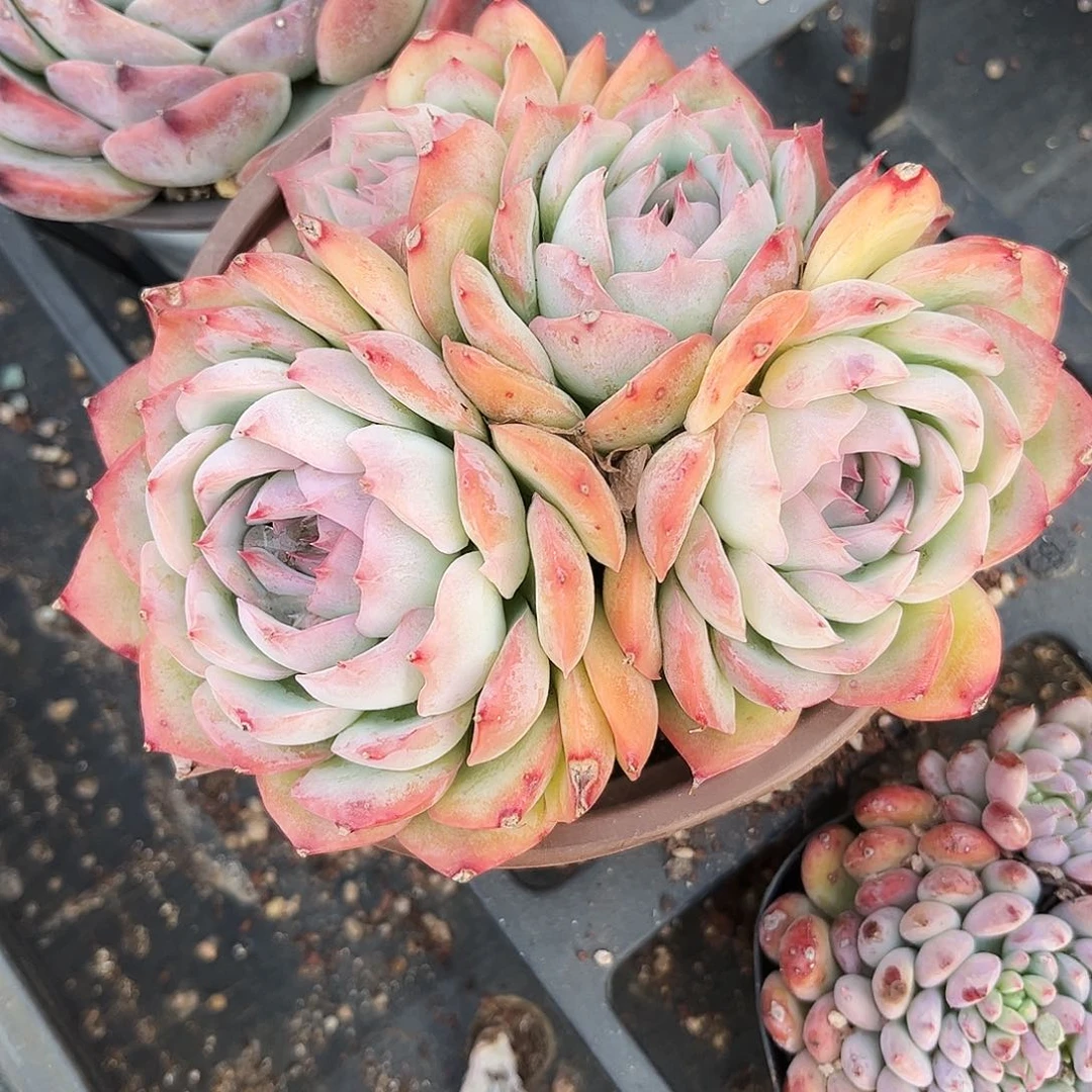 d****6292哈哈哈哈哈哈哈哈