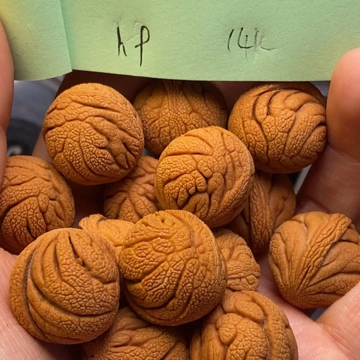 吊坠桃核秦岭龙纹桃核19尺寸