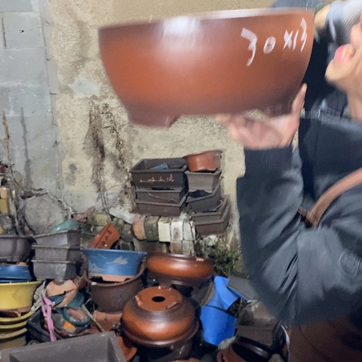 红陶紫砂紫砂紫砂