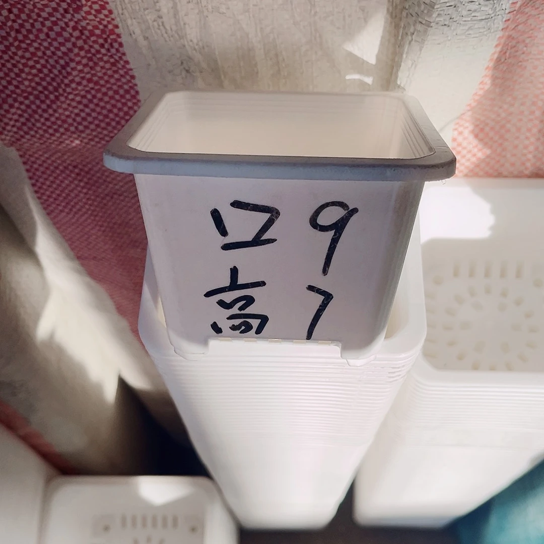 塑料福利款9方白色盆20个无托