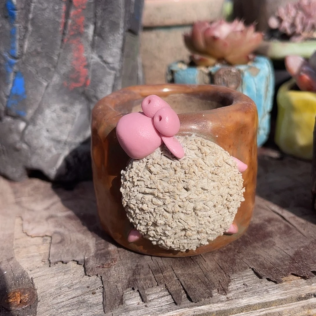 小白孤品 立体小羊 内口3.5 百搭