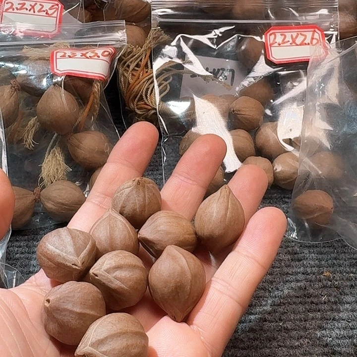 吊坠橄榄核2.1❌2.7