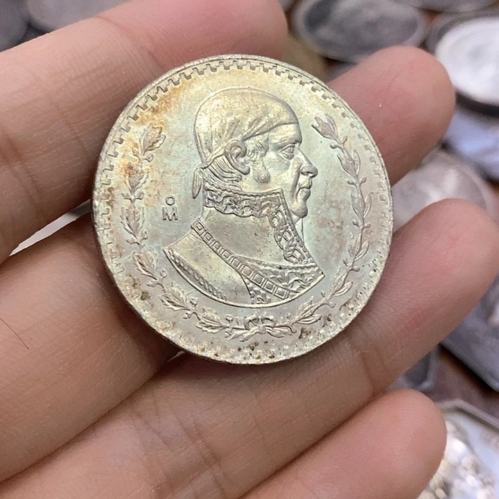 普通金属币放漏一个人头鹰洋