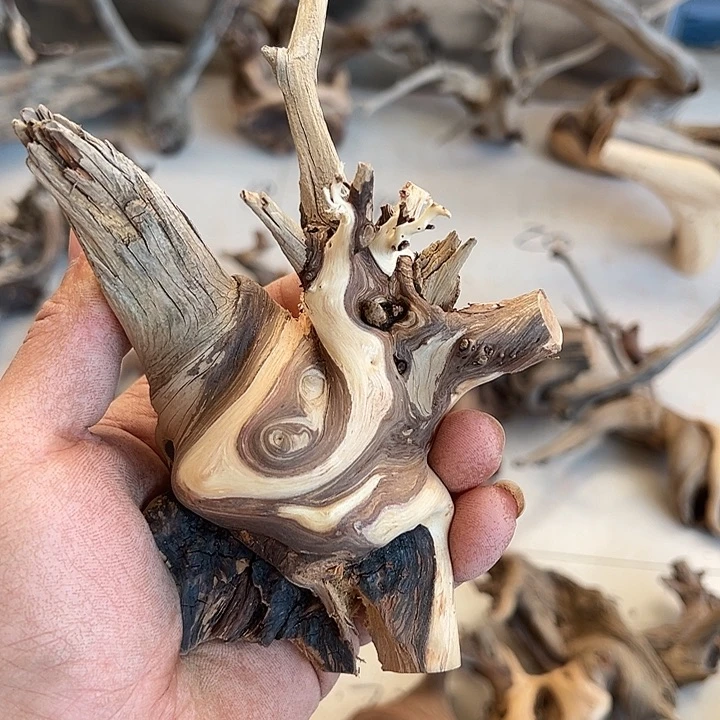 大叶紫檀（黑酸枝木类）张*仙