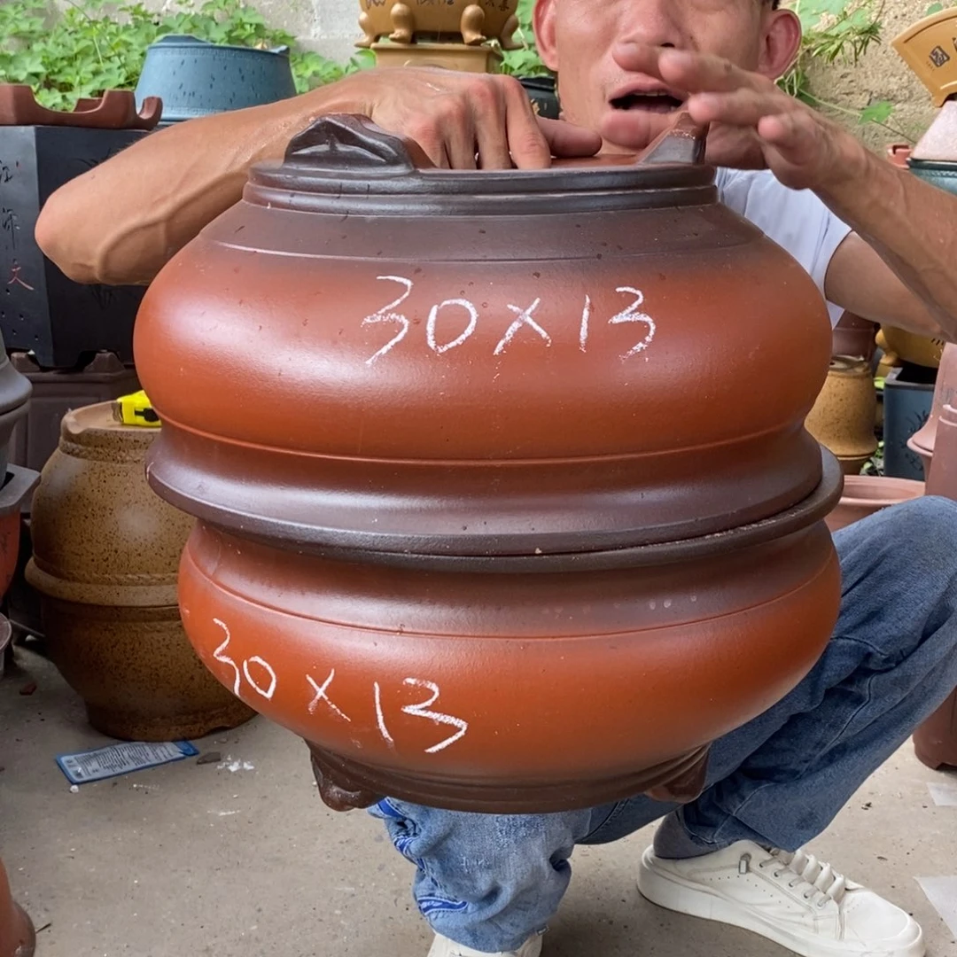 紫砂紫砂紫砂紫砂