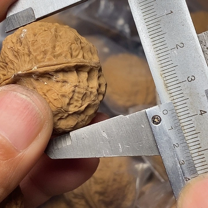 把件文玩核桃志成云铁文玩59