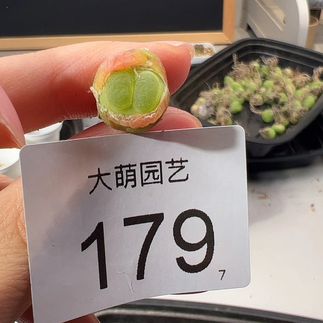 0000179 一物一拍。