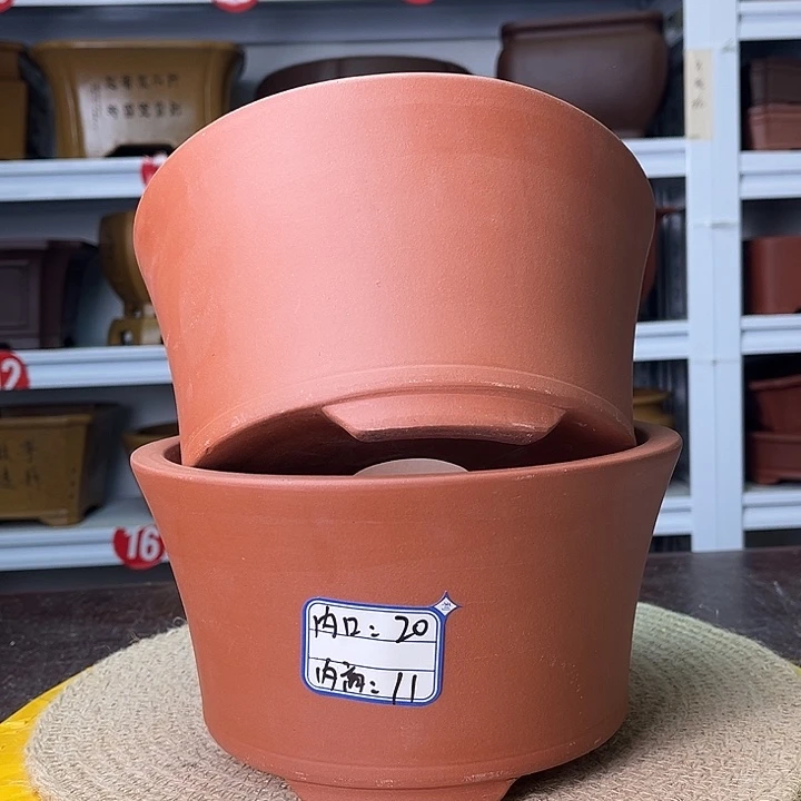 花盆紫砂你在一起