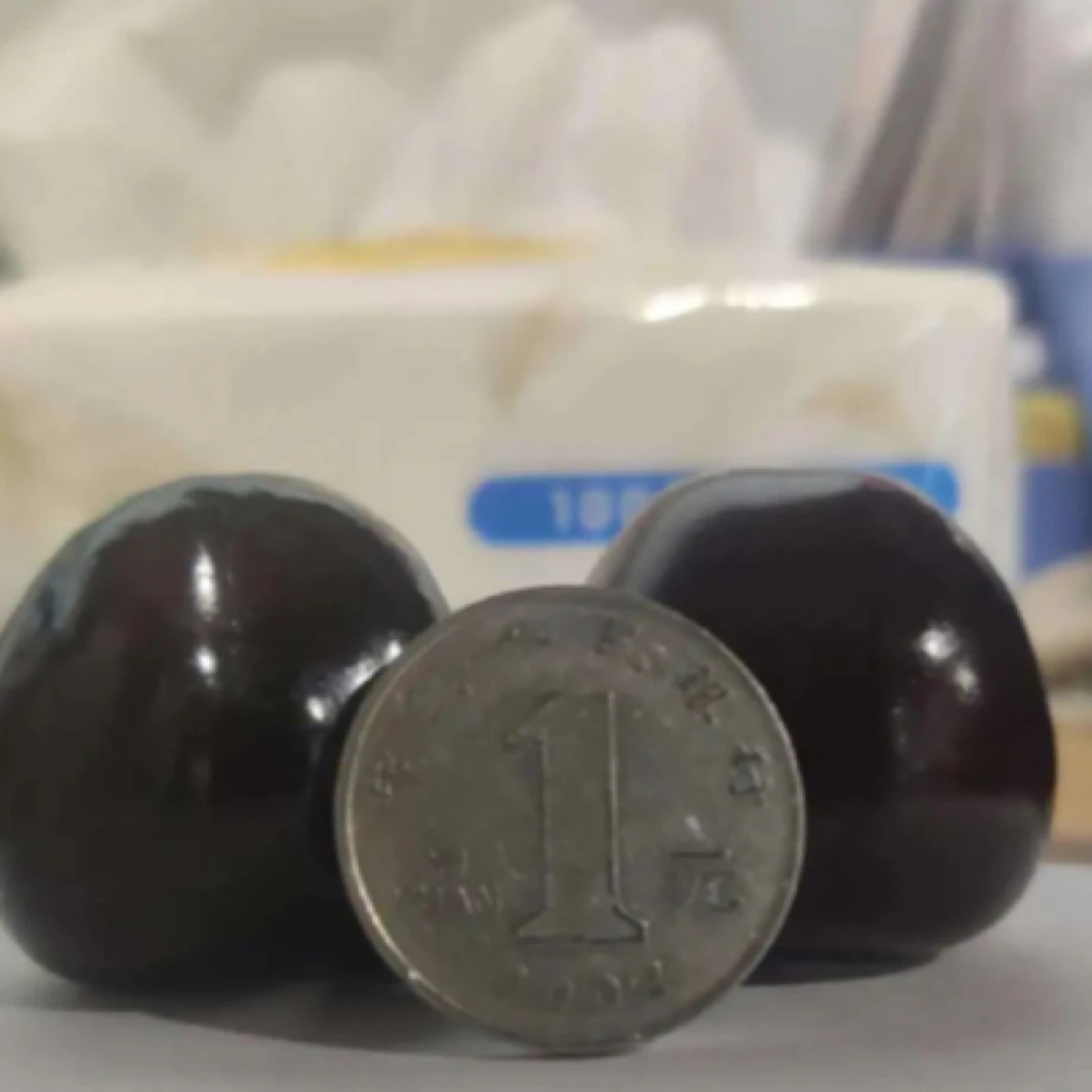 俄8⃣️艺树家.国产樱桃的顶顶.5J 49.9元/斤美早