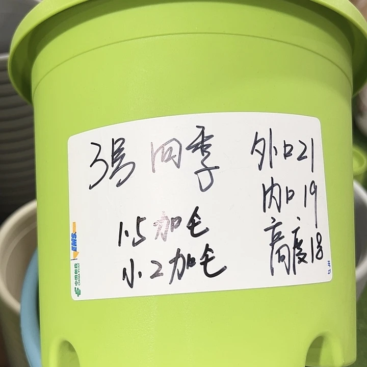 特价3号四季口21高18果绿无托10只