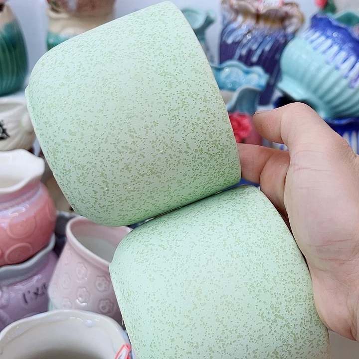 福利花盆9.99包邮