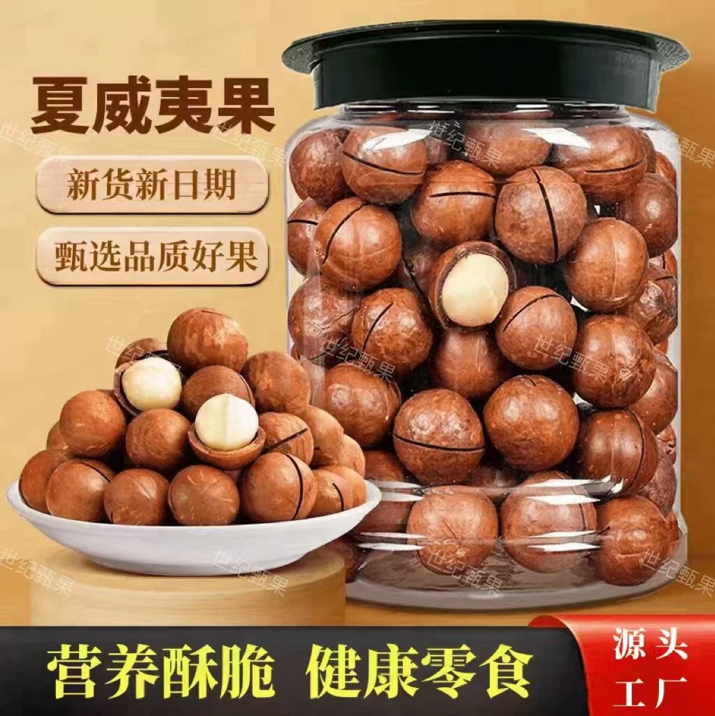 新货夏威夷果22-25中大果新货一斤罐装送2开果器