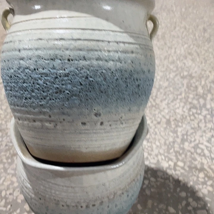 正品两个20/20两个