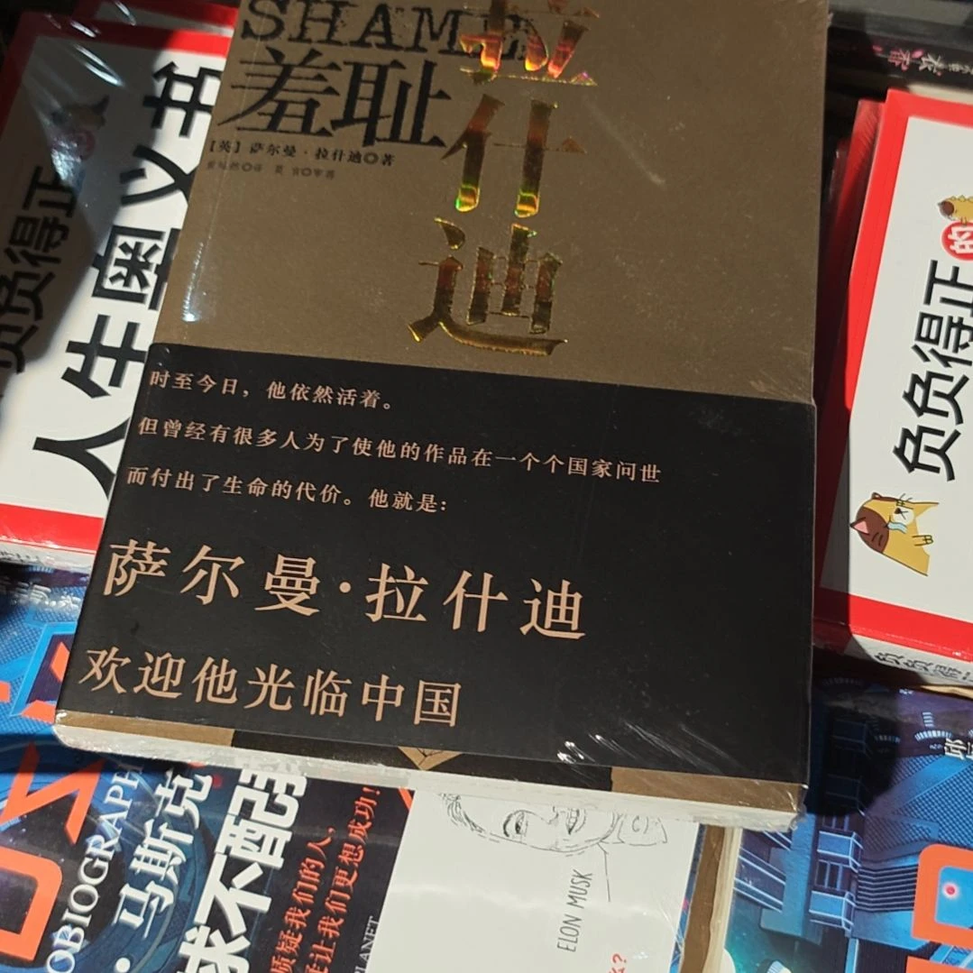 羞耻平装库存书库存书