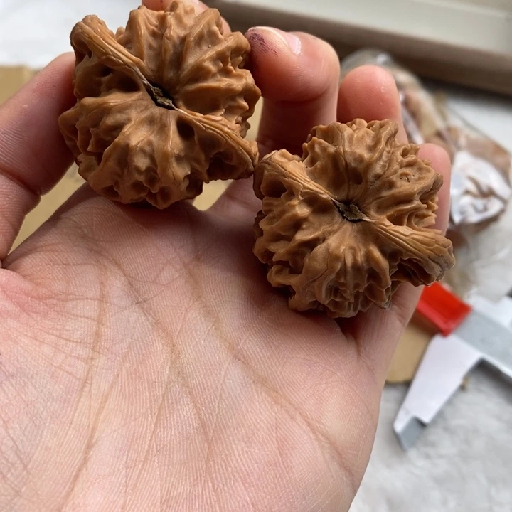 文玩核桃吊坠a*o曹大龙