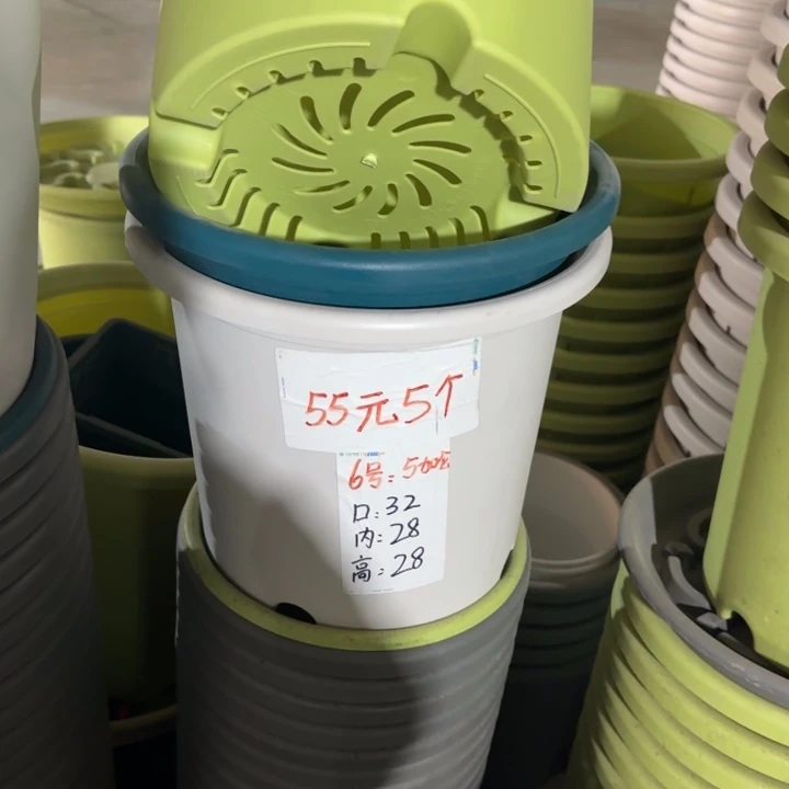 四季6#口径32无托果绿10个