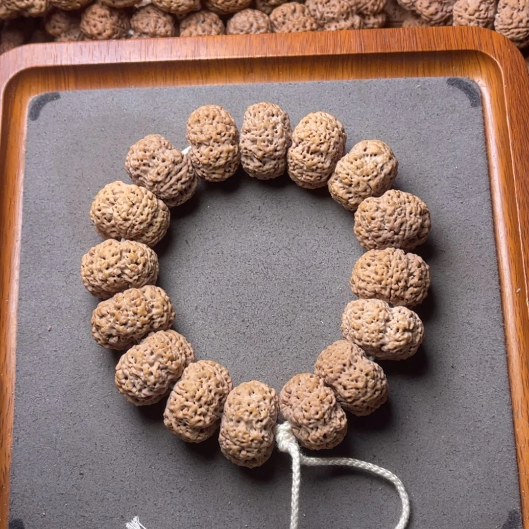 菩提籽类21号金刚菩提夹板菠萝蜜24