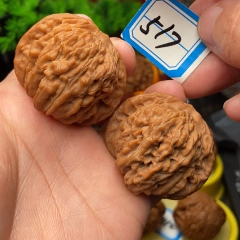 文玩核桃吊坠蓟县楼43