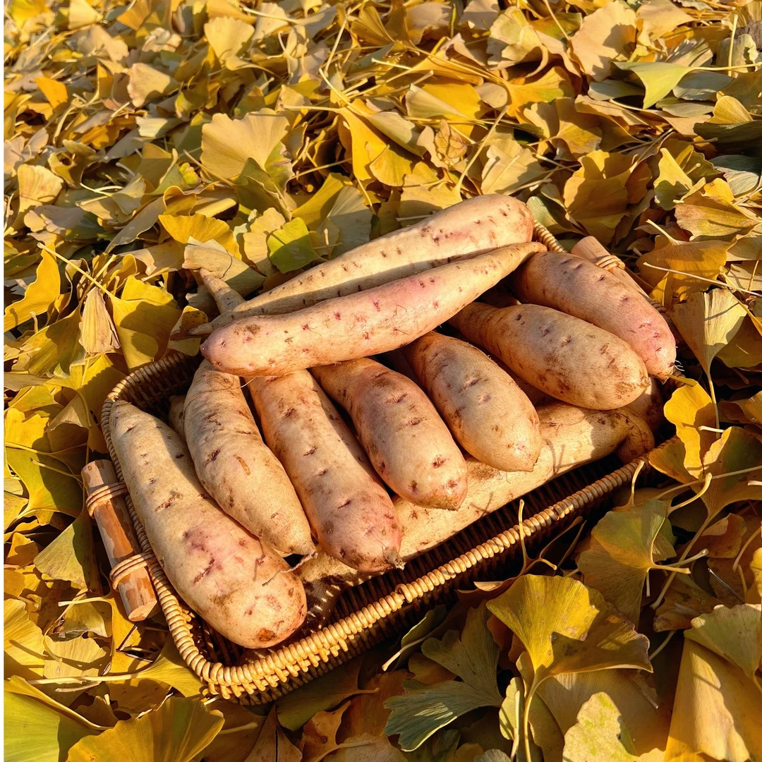 【书记严选】冰激淋蜜薯沙地粉糯冰淇淋红薯粉糯香甜产地直发