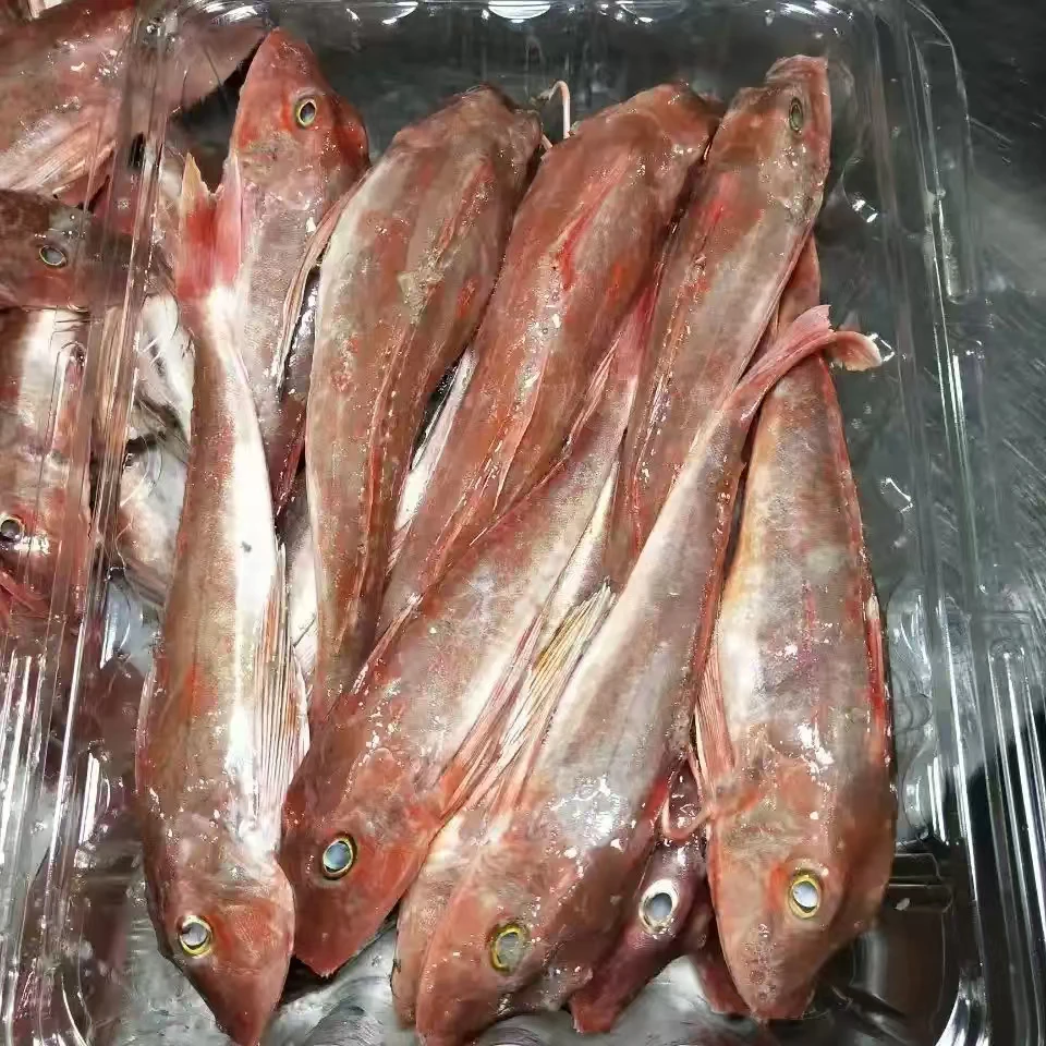 【码头直发】新鲜海捕红头鱼红娘子鱼活冻锁鲜顺丰发货