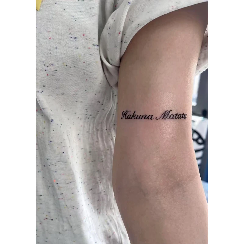 爆款无忧无虑hakunamatata狮子王谚语短句草本纹身贴手臂半永久