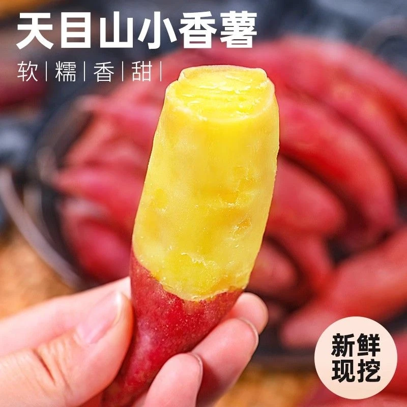 临安天目山小香薯正宗特产新鲜现挖红薯板栗黄心地瓜蕃薯