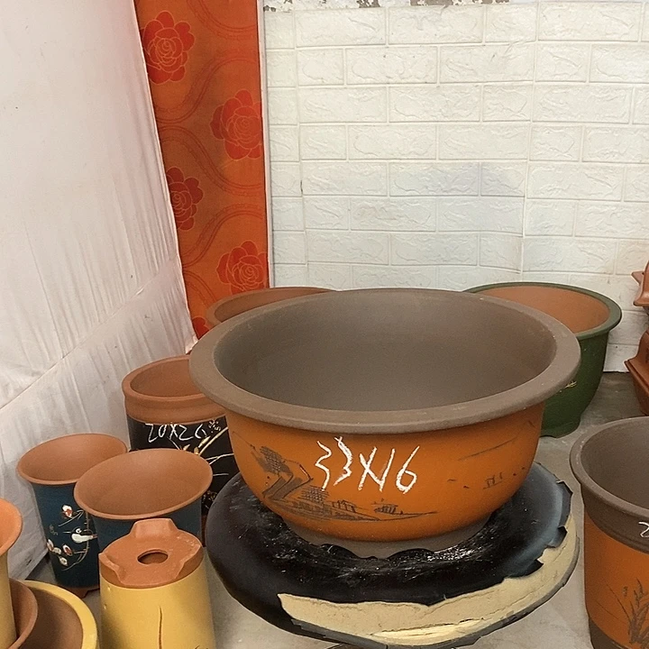 紫砂花盆盆栽植物种植