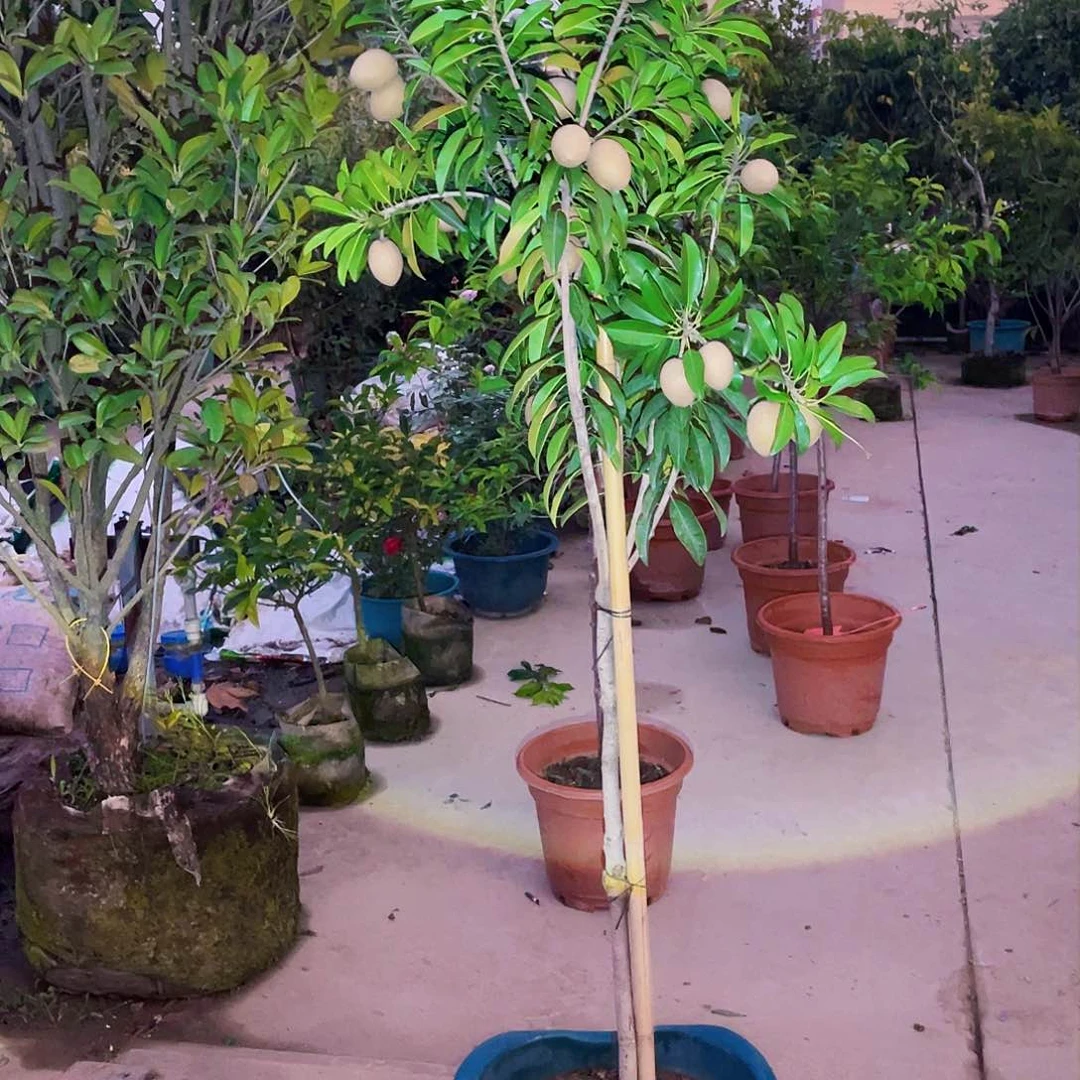 完全开放知***乐g m 8888888888