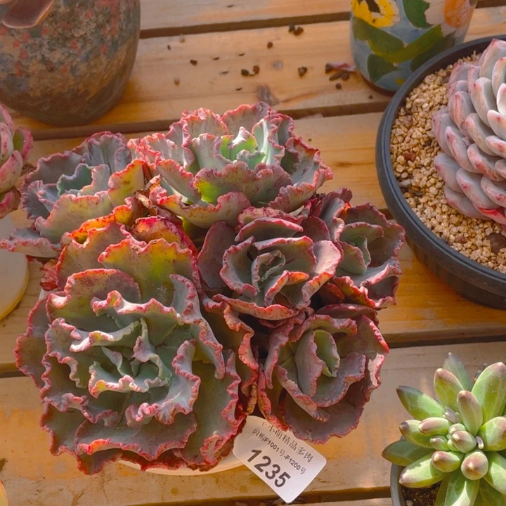 凡**谢谢你的支持000000001235