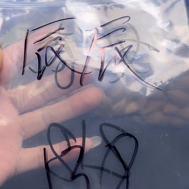 辰***选手串/手链橄榄核1111