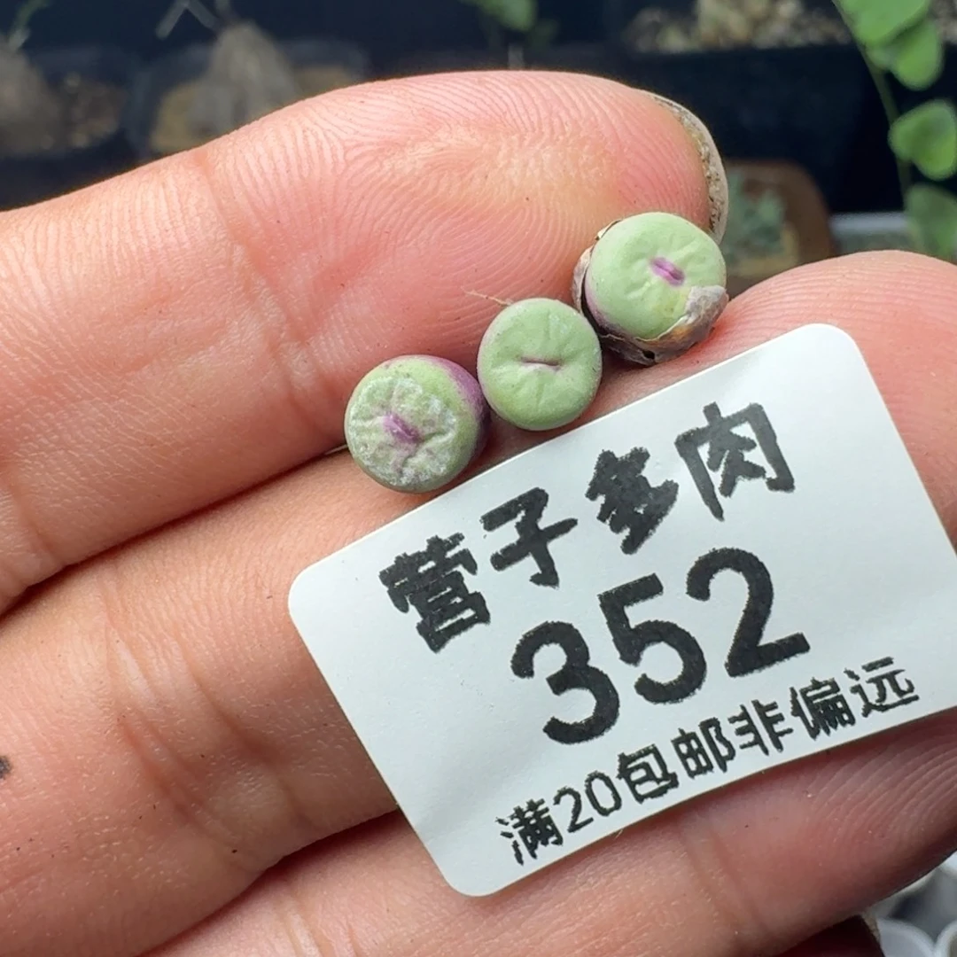 138b。