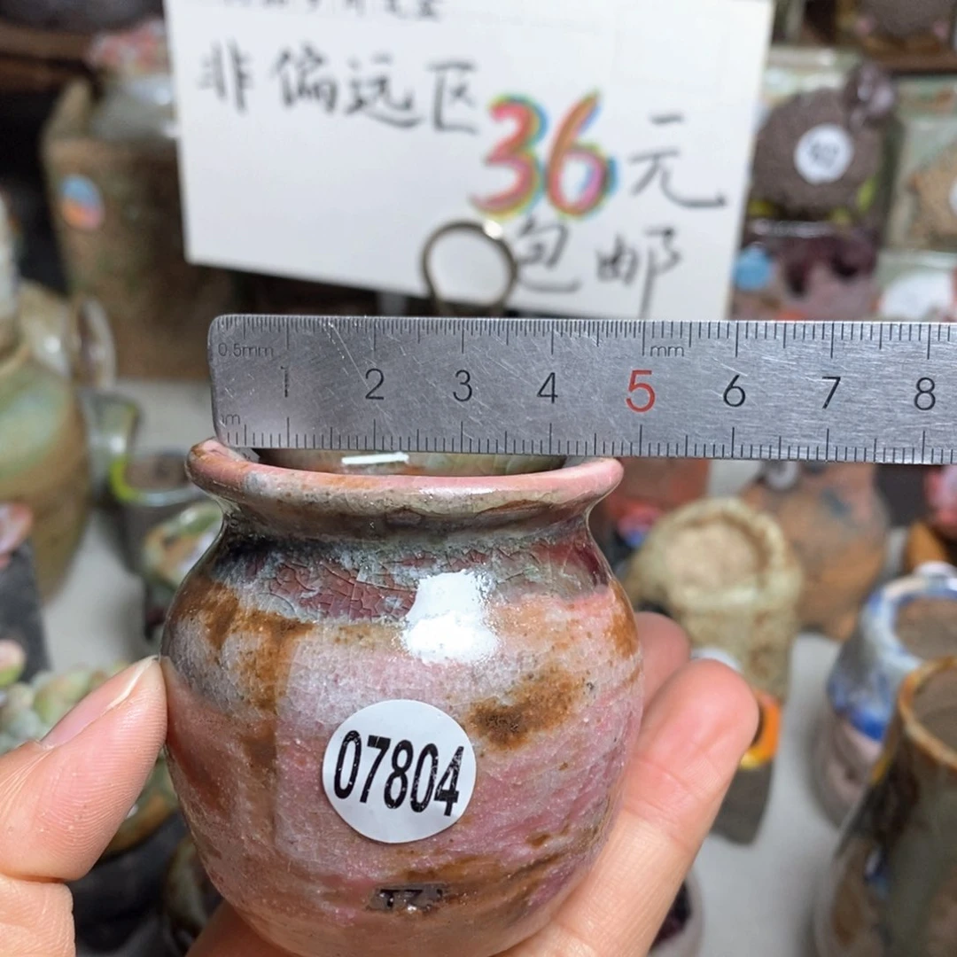花盆拍5送一个小礼物