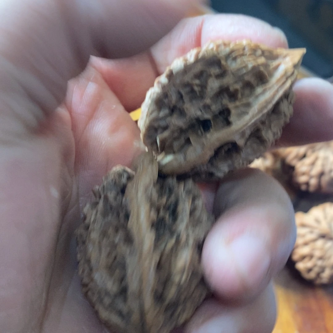 命**定秦岭南北缘至西南