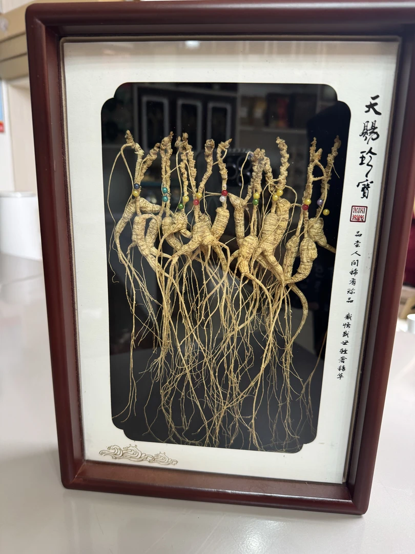 20多年林下参泡酒煲汤